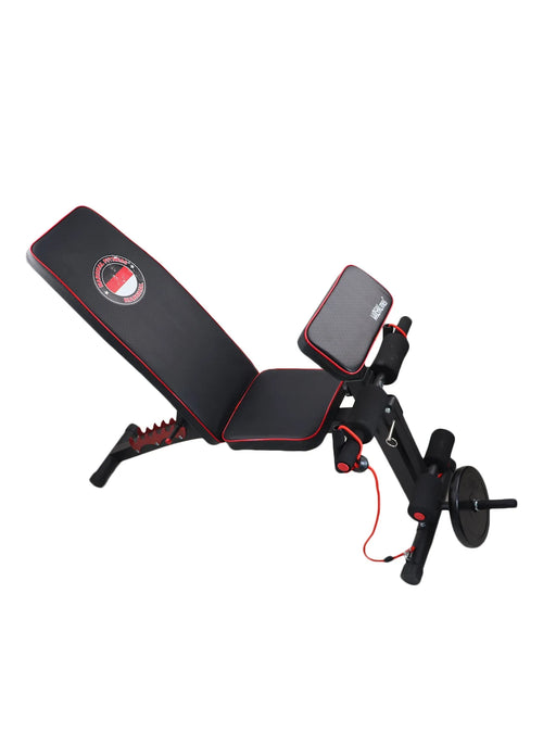 Foldable / Adjustable Dumbbell Weight Lifting Sit Up Ab Bench Home Training Gym