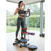 3 in1 Multi Function Stepper with Twister, Handle and Dumbbell Stepper for Exercise