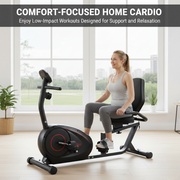 Horizontal Magnetic Bike - Lazy Bike