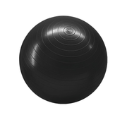 Anti-burst Gym Ball - 6“ Pump) - 55CM