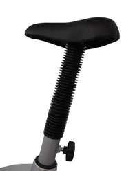 Classic Home Use Exercise Stationary Bike