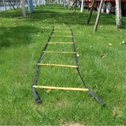 Fixed Football Training Ladder