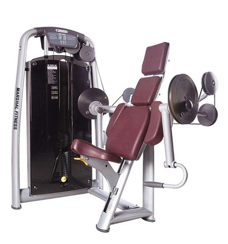 Seated Biceps Trainer